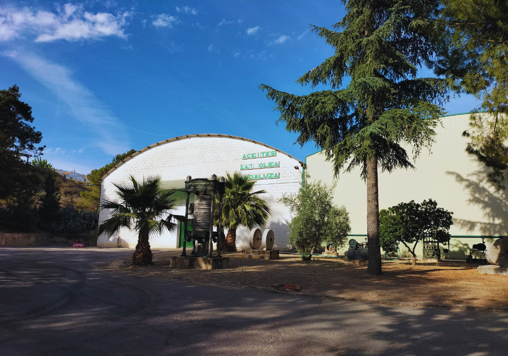 instalaciones olea andaluza