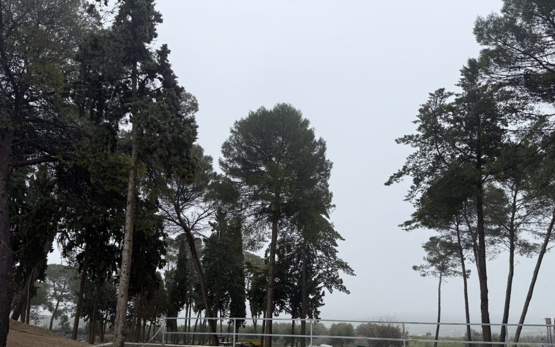 INFORME MERCADO 01 | 09 ENERO 2026