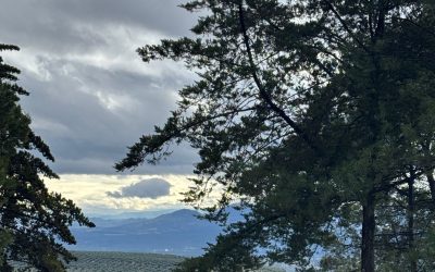 INFORME MERCADO 02 | 16 ENERO 2026