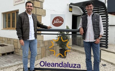Oleandaluza se adhiere a la IGP Aceite de Jaén: un compromiso con el origen